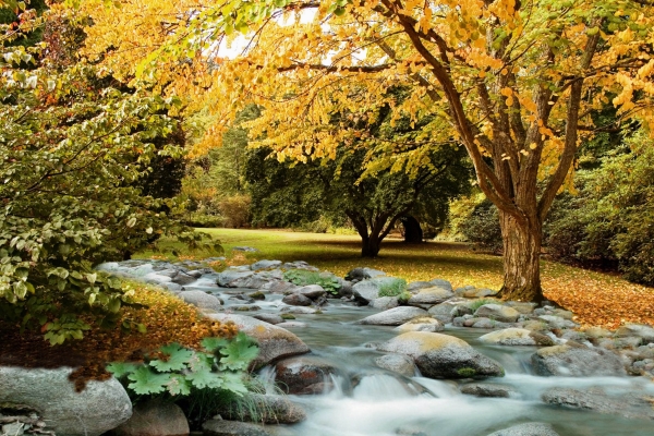 Creation of Autumn Along the Creek: Step 8